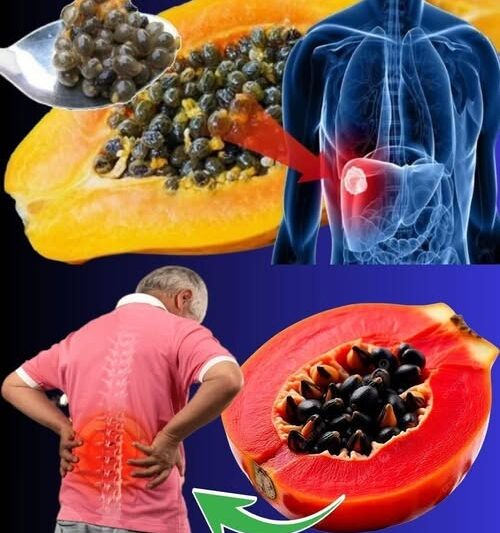 The Benefits and Uses of Papaya Seeds Explained