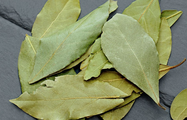 How Bay Leaves Can Be Used in a Skincare Routine: Natural Skin Care Tips